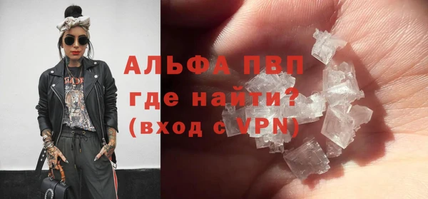 PSILOCYBIN Богданович