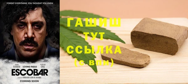 PSILOCYBIN Богданович