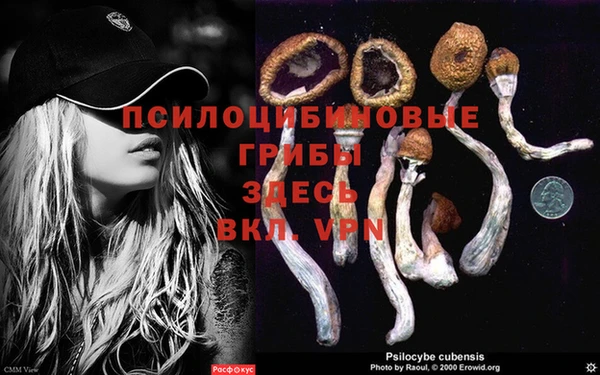 кокаин перу Богородск