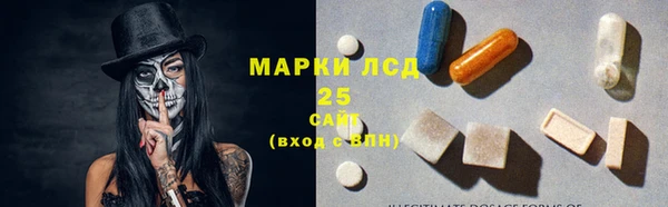 ГАЛЛЮЦИНОГЕННЫЕ ГРИБЫ Белокуриха