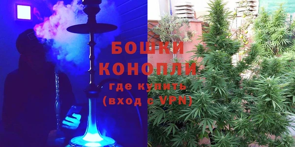 ГАЛЛЮЦИНОГЕННЫЕ ГРИБЫ Богородицк