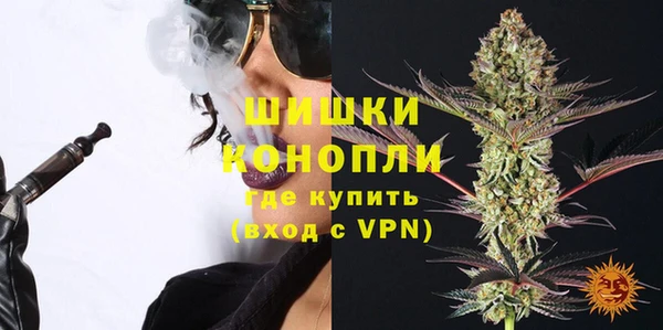 PSILOCYBIN Богданович