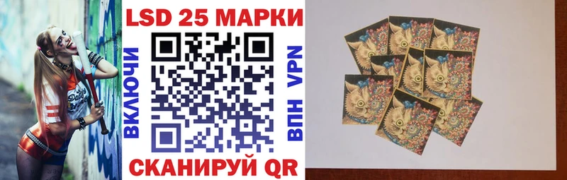 дарнет шоп  Ессентуки  Марки N-bome 1,5мг 
