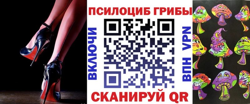сайты даркнета клад  Ессентуки  Галлюциногенные грибы Psilocybine cubensis 